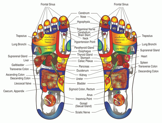 Quoimai Reflexology Diagram